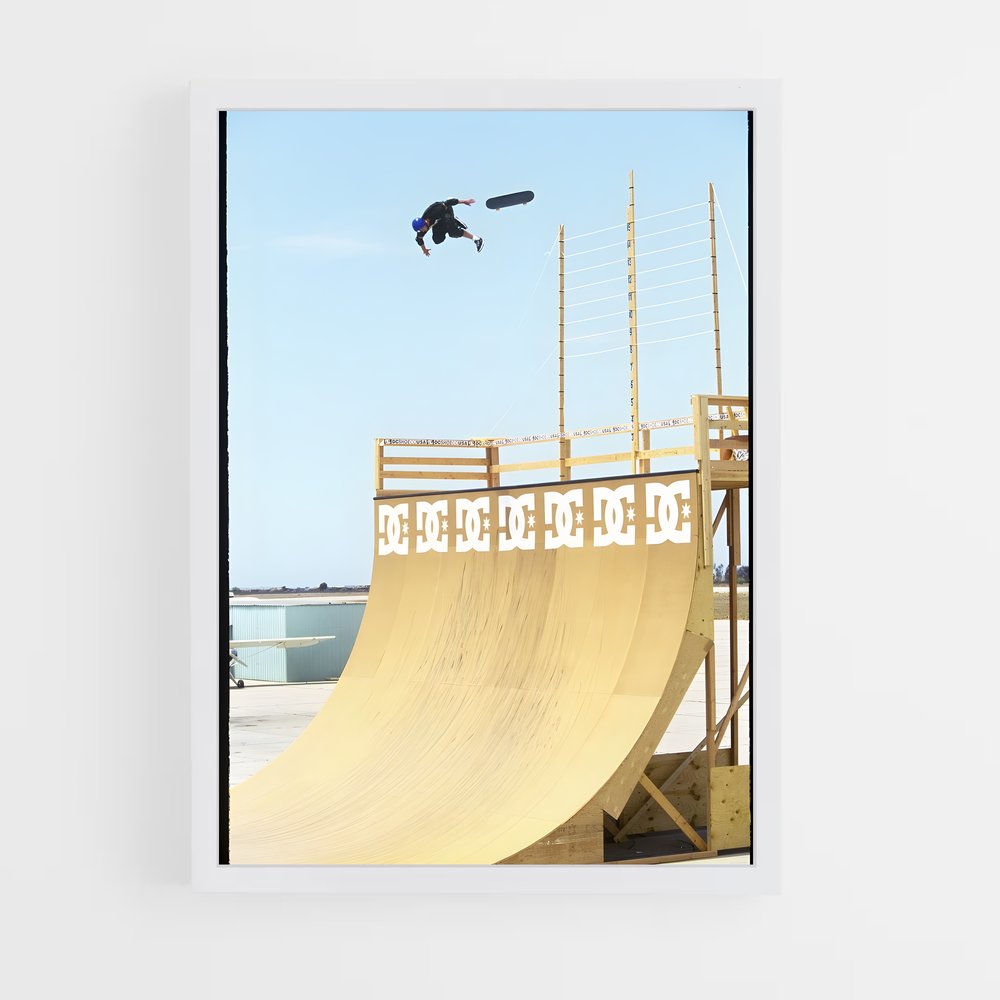 Poster Skate et Vol – affiche Skateboard (vue 3)